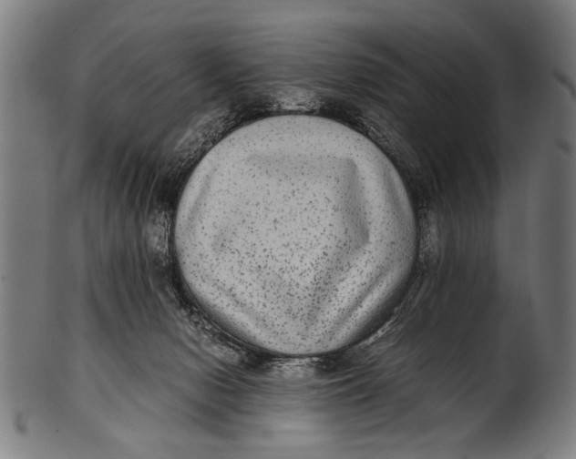 X0000100860078200807111303