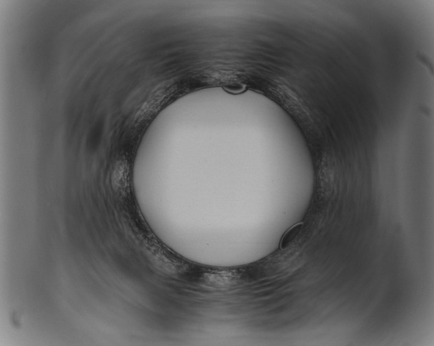 X0000100860079200807111303