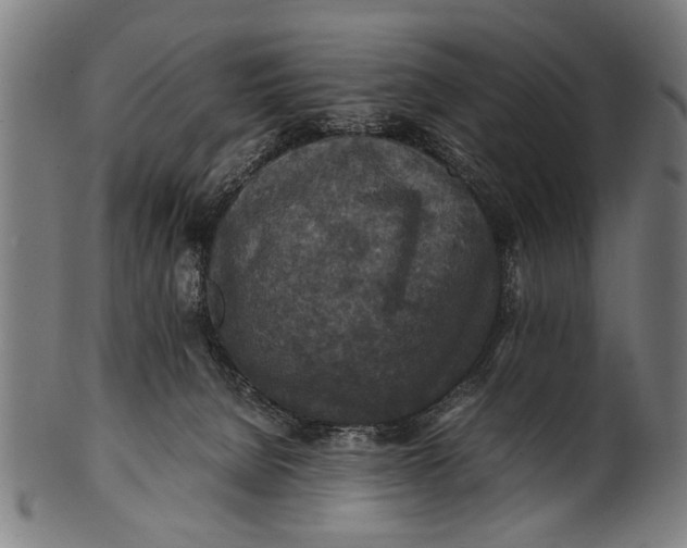 X0000100860080200807111303