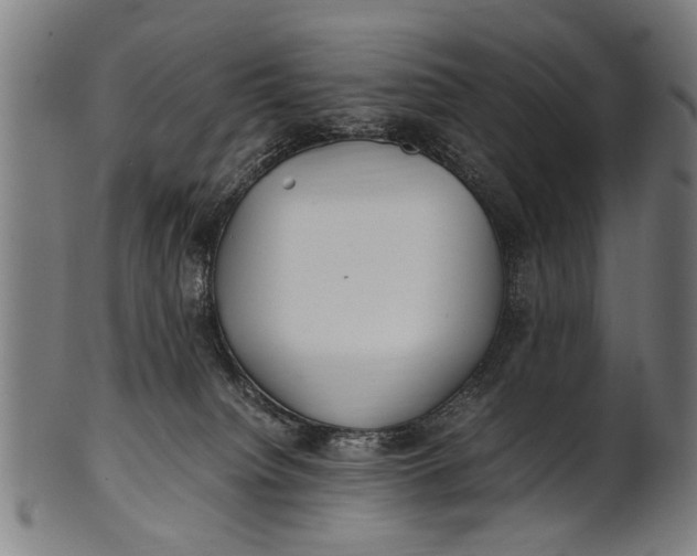 X0000100860084200807111304