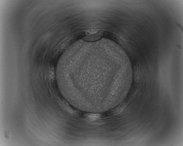 X0000100860085200807111304