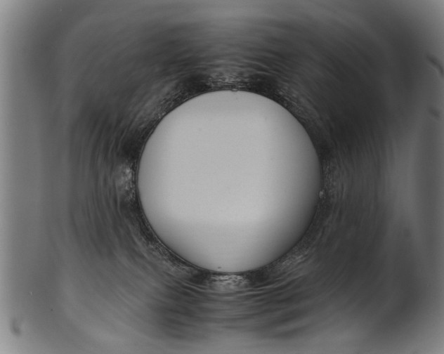 X0000100860087200807111304