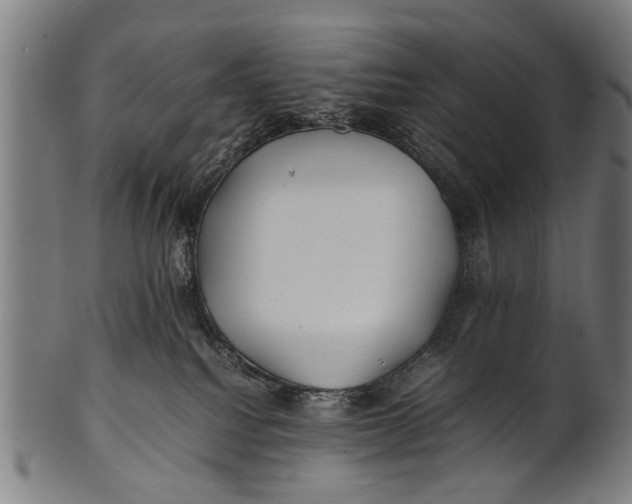 X0000100860088200807111304