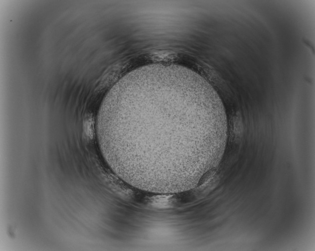 X0000100860090200807111304