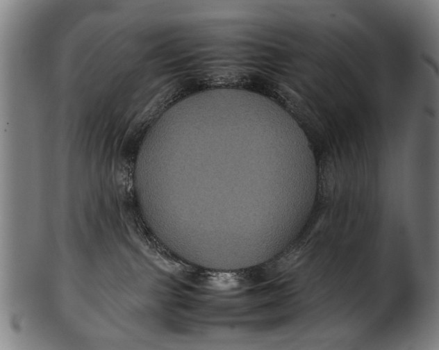 X0000100860091200807111304