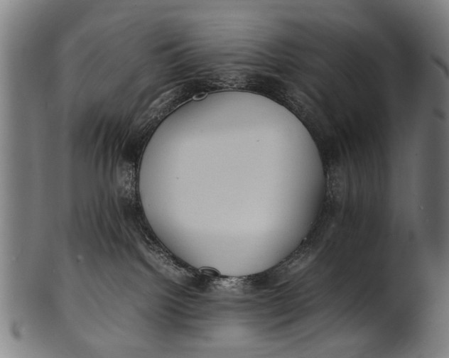 X0000100860092200807111304