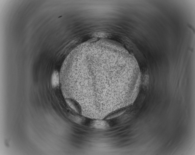 X0000100860095200807111304