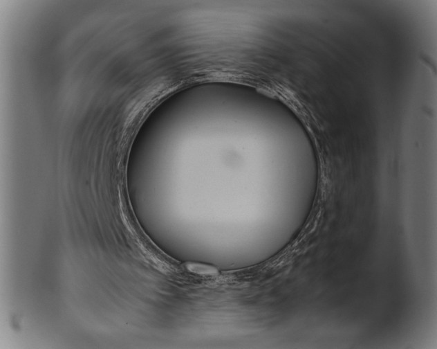 X0000100860097200807111303