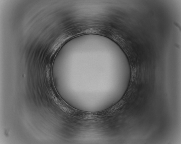 X0000100860098200807111303