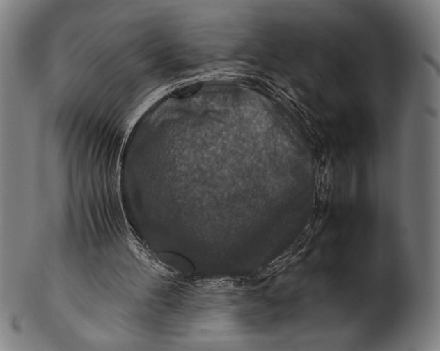 X0000100860100200807111303