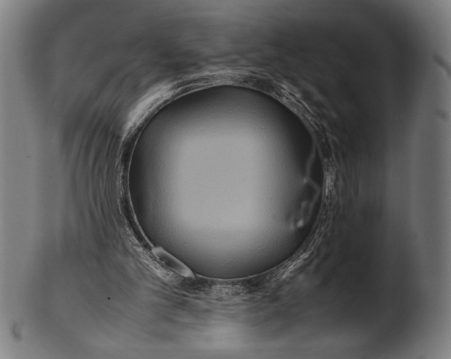 X0000100860101200807111303