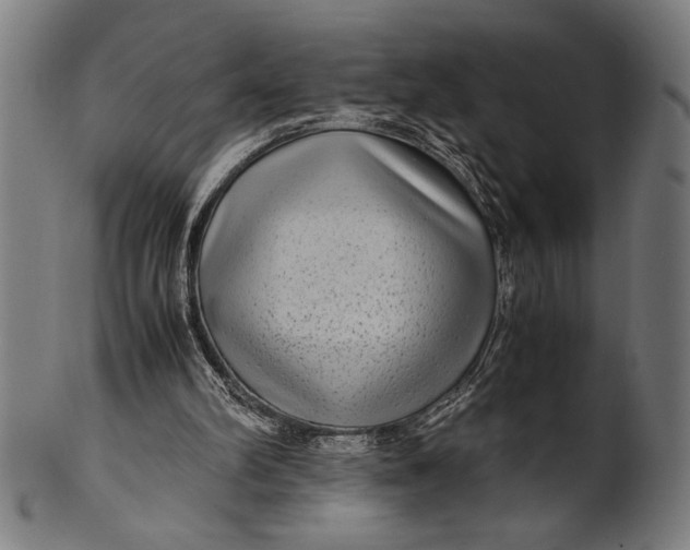 X0000100860102200807111303