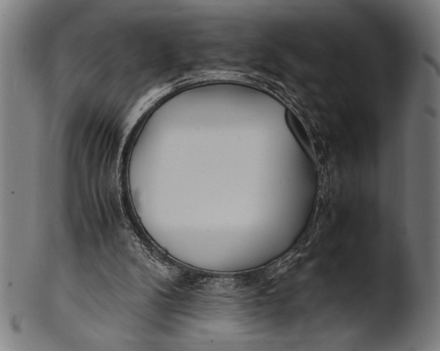 X0000100860104200807111303