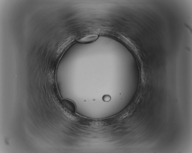 X0000100860105200807111303