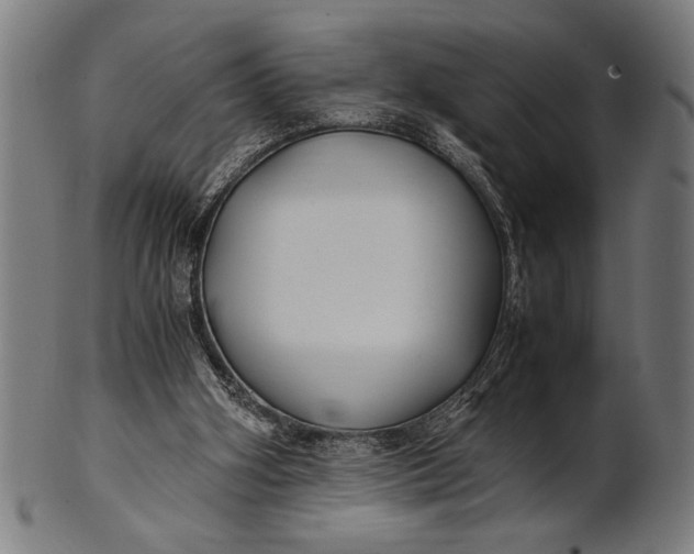 X0000100860106200807111303