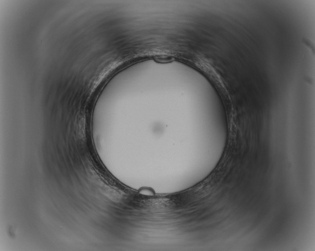 X0000100860108200807111303