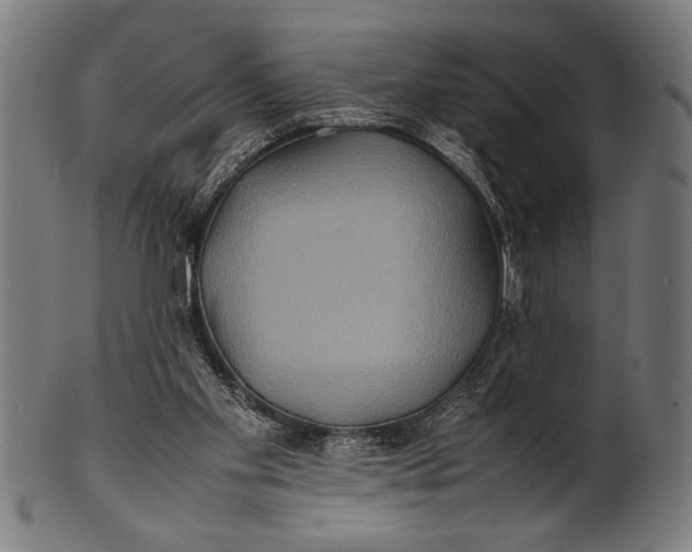 X0000100860109200807111303