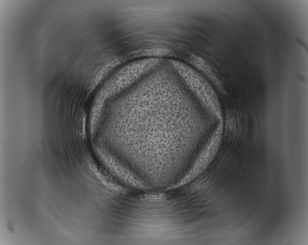 X0000100860110200807111303