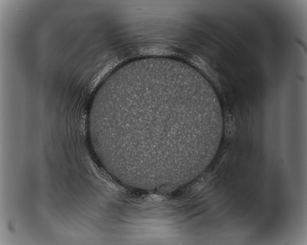 X0000100860111200807111303