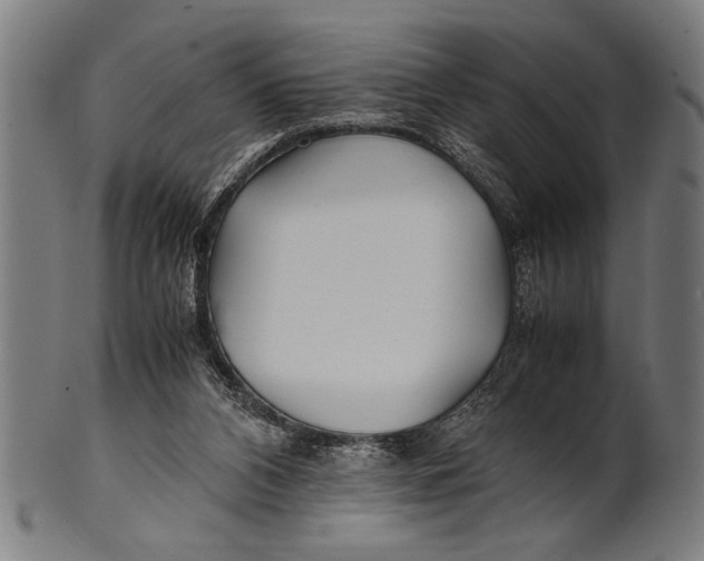 X0000100860112200807111303