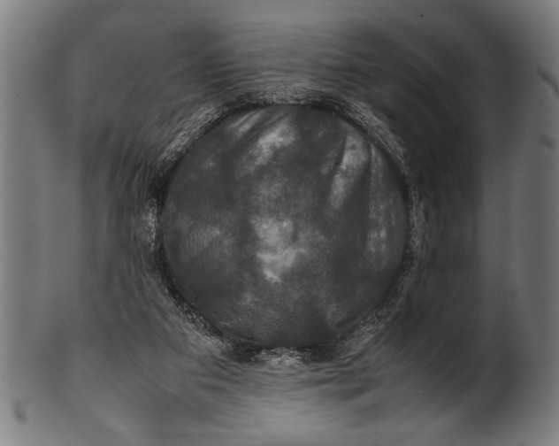 X0000100860113200807111303