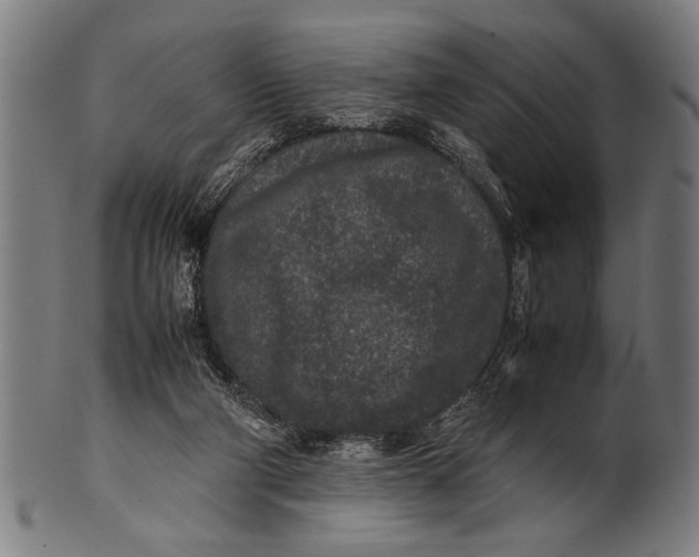 X0000100860114200807111303