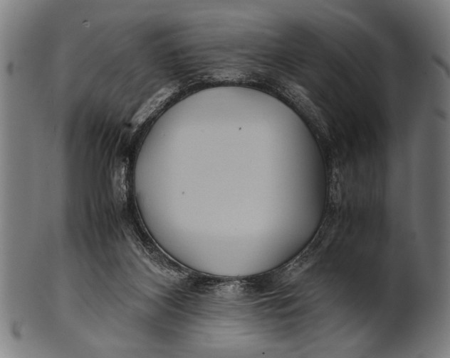 X0000100860116200807111303