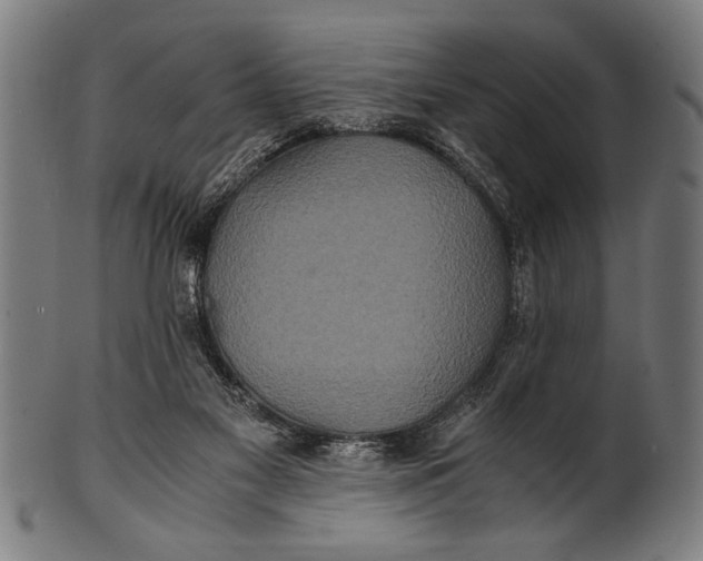 X0000100860117200807111303