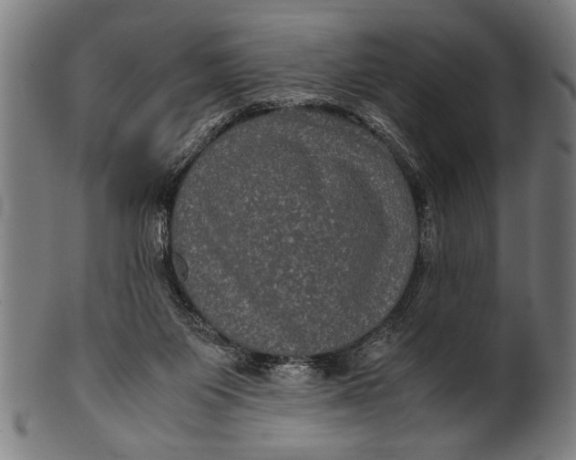 X0000100860119200807111303