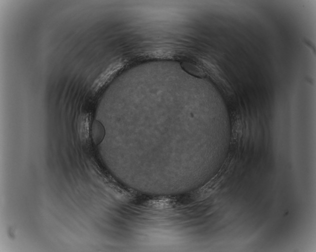 X0000100860120200807111303