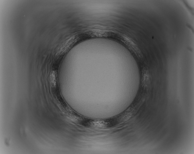 X0000100860121200807111303