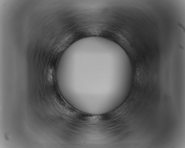 X0000100860122200807111303