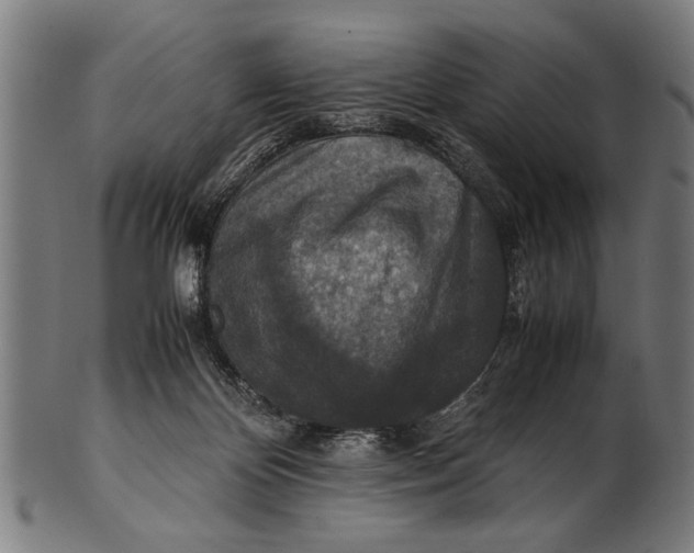 X0000100860124200807111302