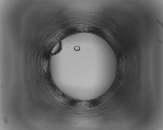 X0000100860125200807111302