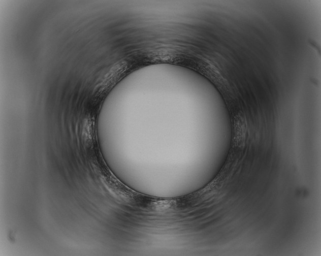 X0000100860126200807111302