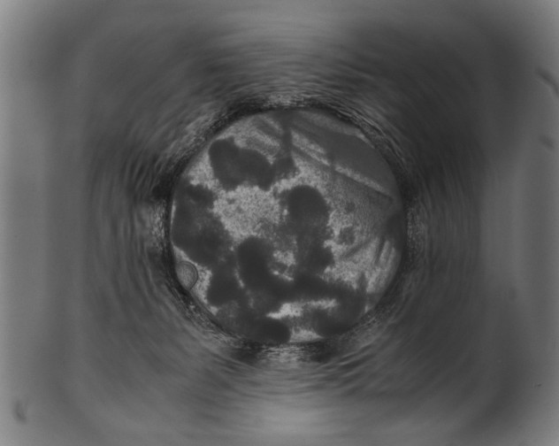 X0000100860127200807111302