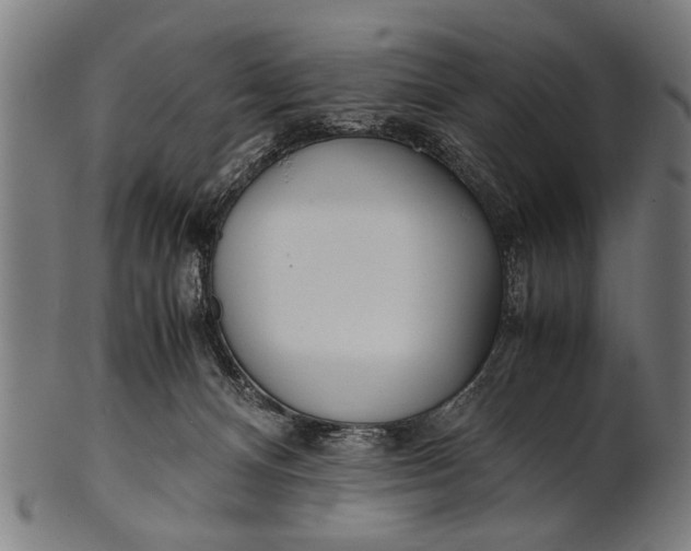 X0000100860128200807111302