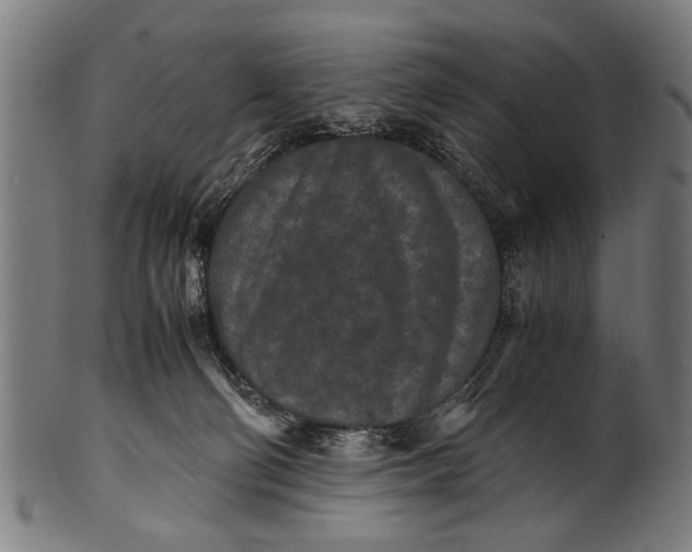 X0000100860130200807111302