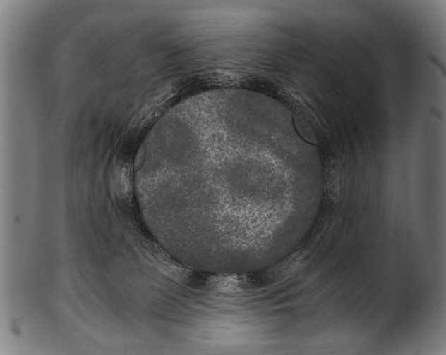 X0000100860131200807111302