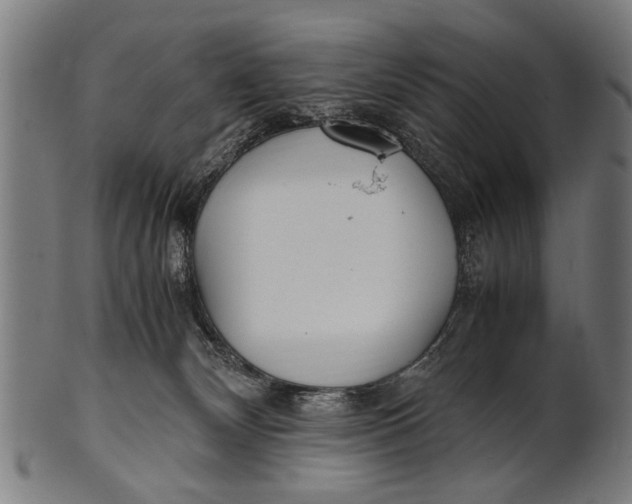 X0000100860132200807111302