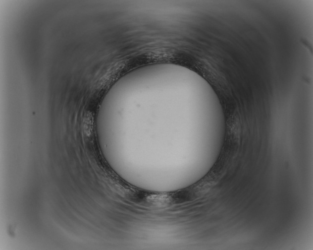 X0000100860133200807111302