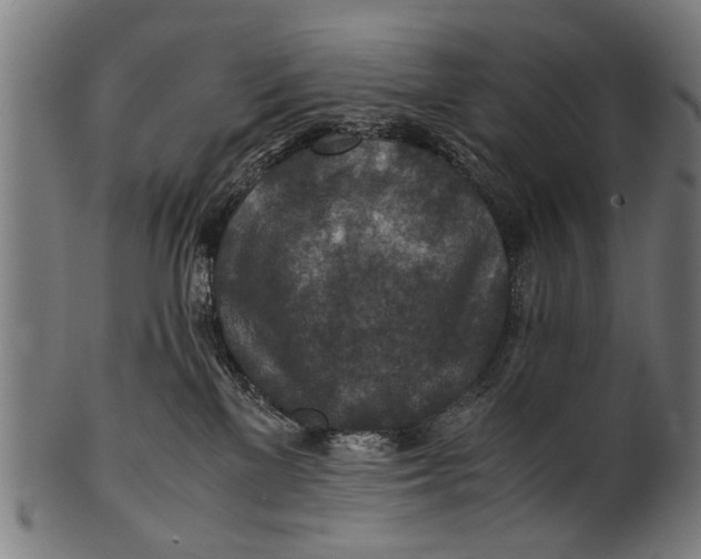 X0000100860137200807111302