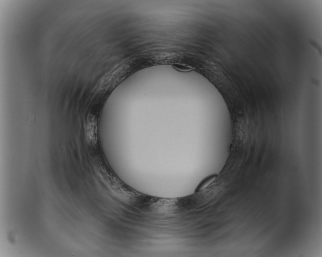 X0000100860138200807111302