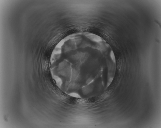 X0000100860139200807111302