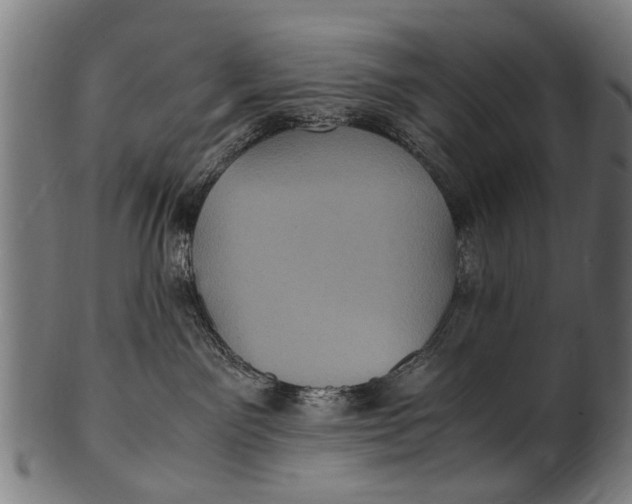 X0000100860141200807111302