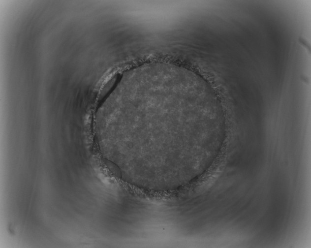 X0000100860144200807111302