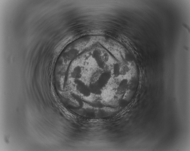 X0000100860145200807111302