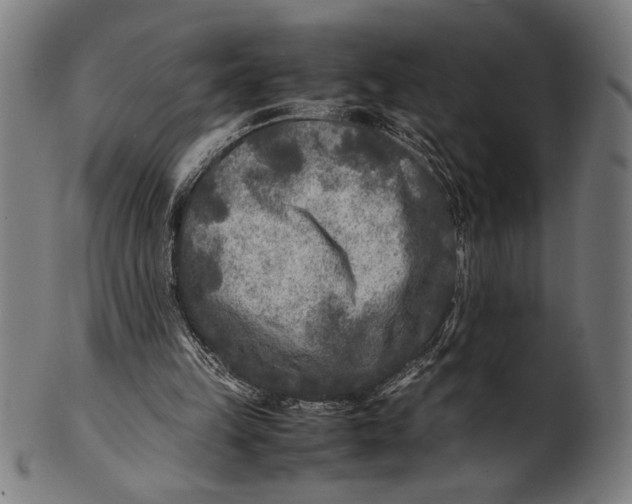 X0000100860149200807111302