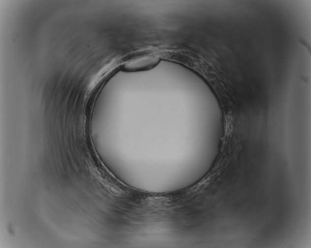 X0000100860150200807111302