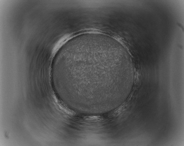 X0000100860151200807111302